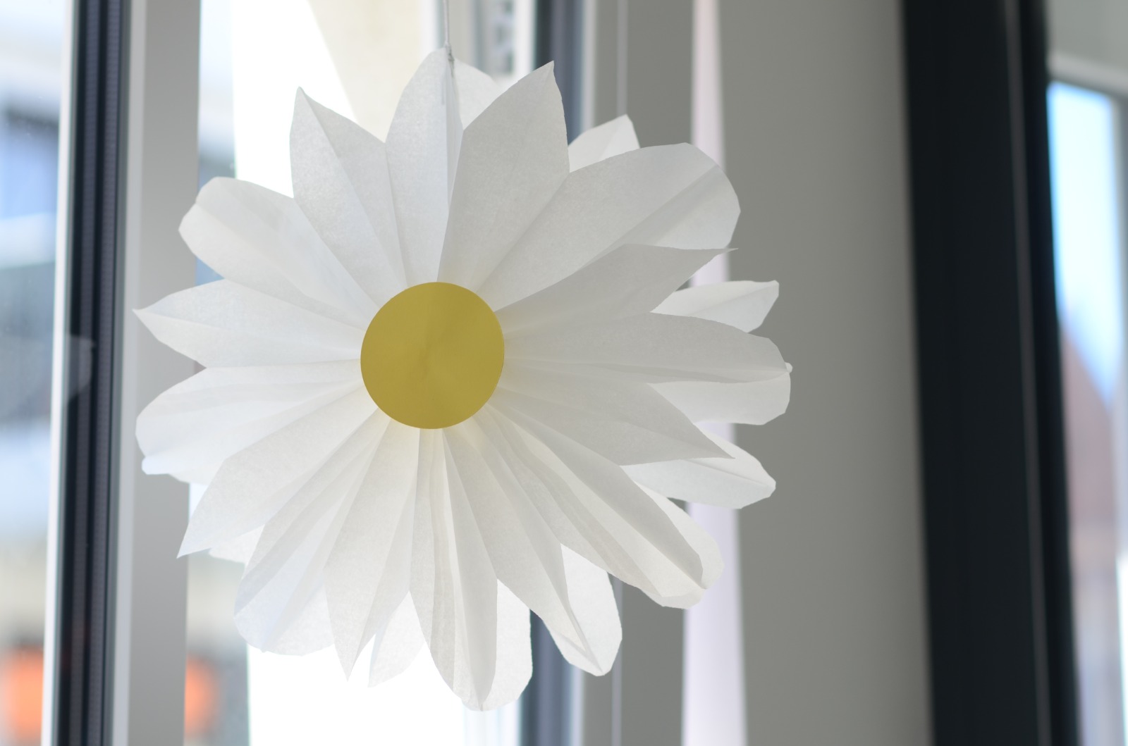Norderney – weiße Blume, Sinnbild für die Insel